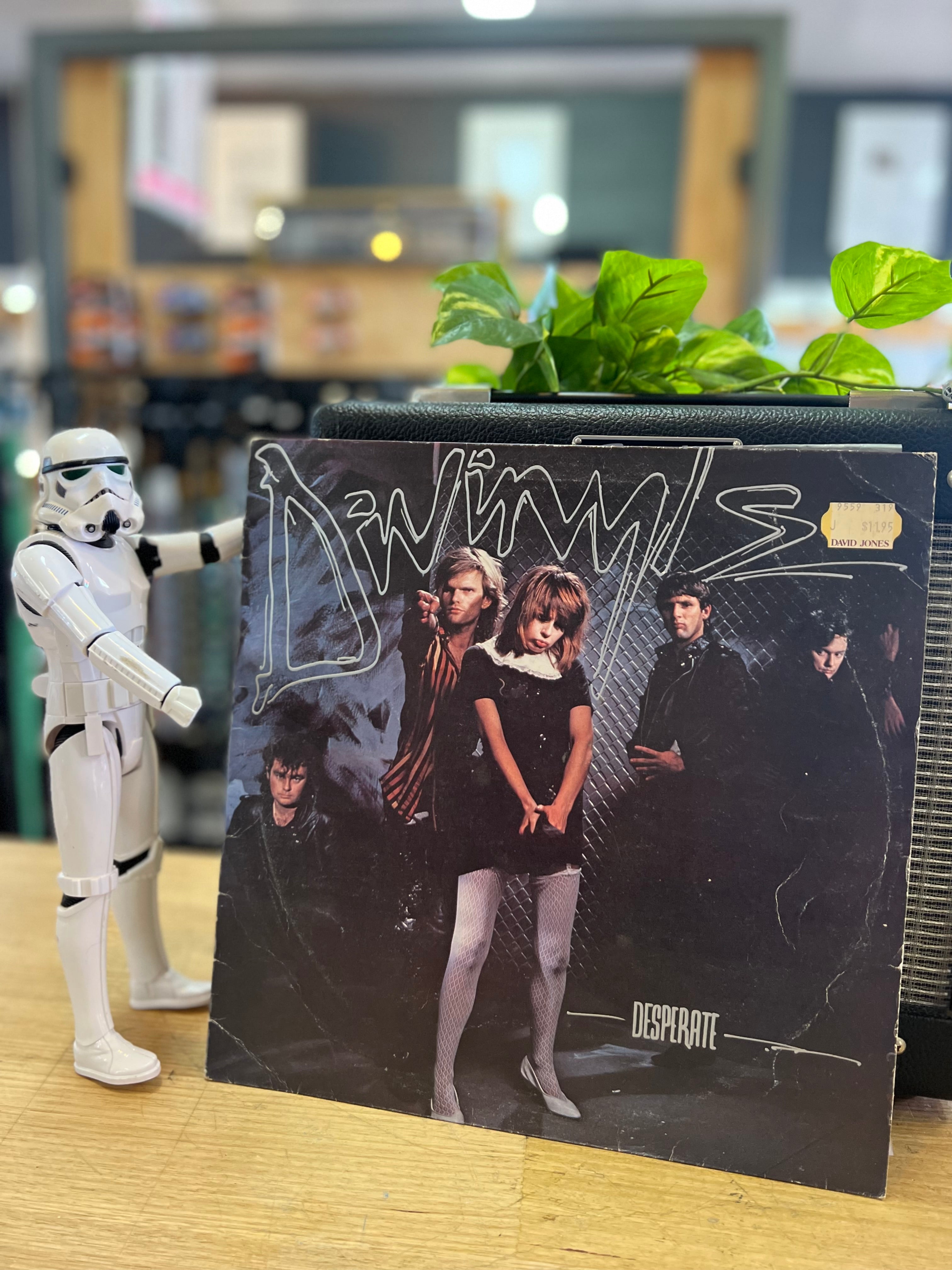 Divinyls | Desperate | 1982 Australian Pressing | Vintage Vinyl Divinyls | Desperate | 1982 Australian Pressing | Vintage Vinyl